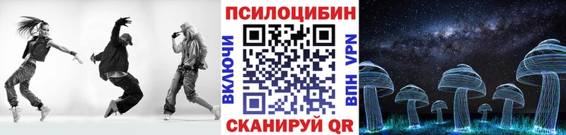 Купить Нижняя Тура Псилоцибиновые грибы Psilocybe
